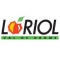 logo ville Loriol2